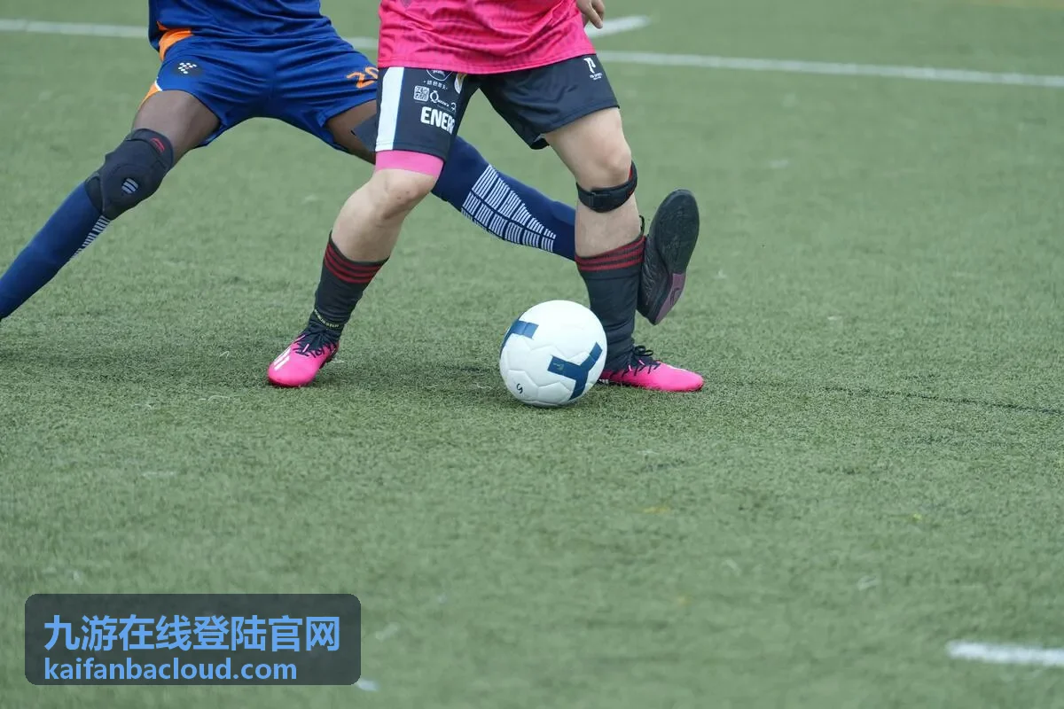 九游在线登陆官网登陆页面的入口与账号输入区域示意
